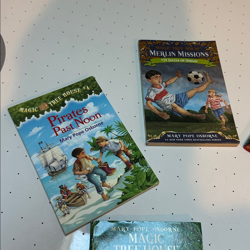 Magic Tree House Book Set - Picture 2 of 4